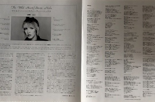 Stevie Nicks – The Wild Heart