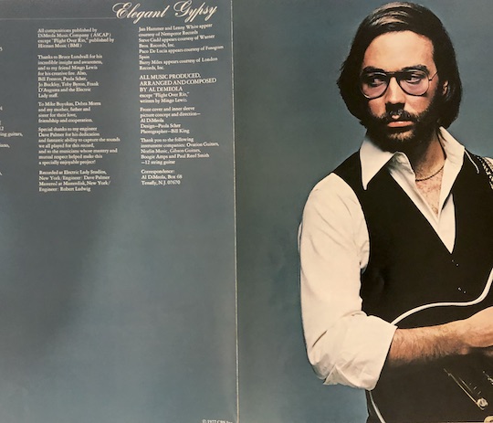 Al Di Meola – Elegant Gypsy
