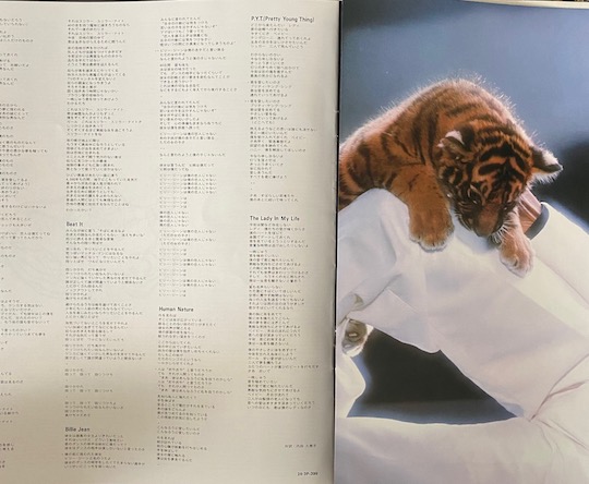 Michael Jackson – Thriller