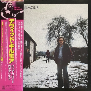 David Gilmour ‎– David Gilmour